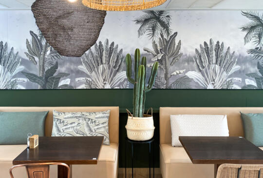 Décoration intérieure du Bistrot City Montpellier Ovalie, présentant un luminaire suspendu en rotin, un mur orné d'une fresque de cactus tropicaux en nuances de gris, et un coin salon accueillant avec banquettes et coussins imprimés.