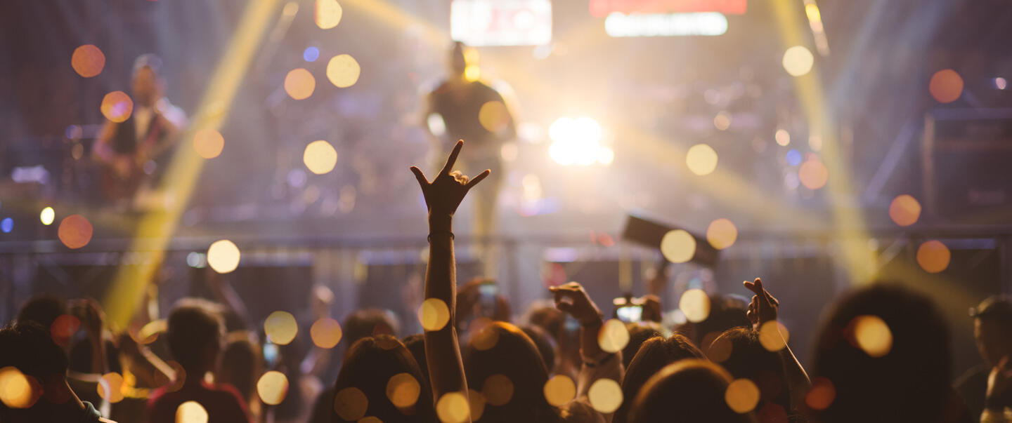 Leidenschaftliches Publikum beim Rock en Seine, hochgehaltene Zeichen von Rockhörnern, festliche Stimmung im Scheinwerferlicht.