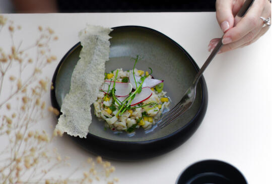 Tartar de pescado fresco adornado con hierbas finas y servido con un crujiente pan plano en un plato de cerámica elegante.