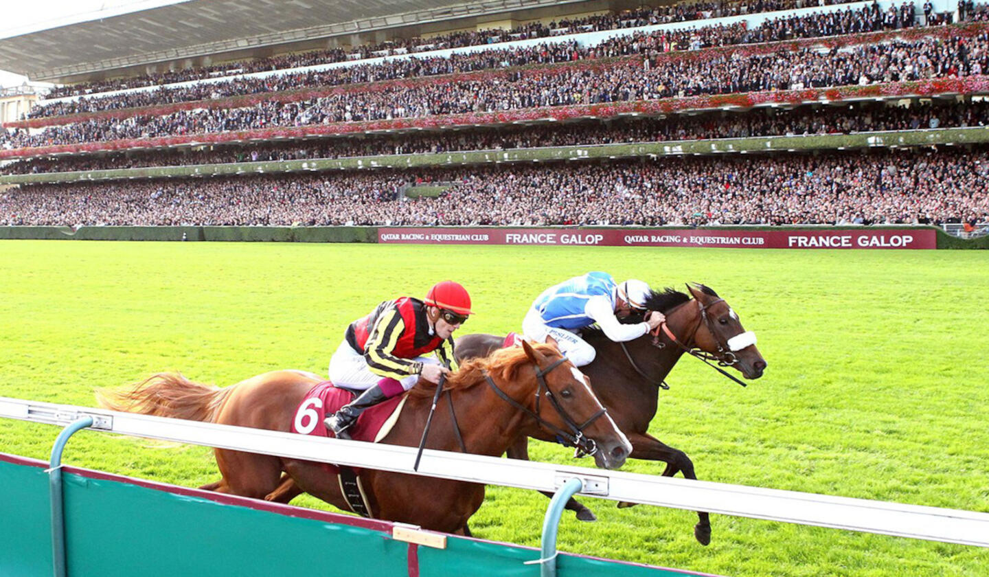 Carrera de caballos en el Qatar Prix de l'Arc de Triomphe en París, jinetes compitiendo frente a una tribuna llena de espectadores