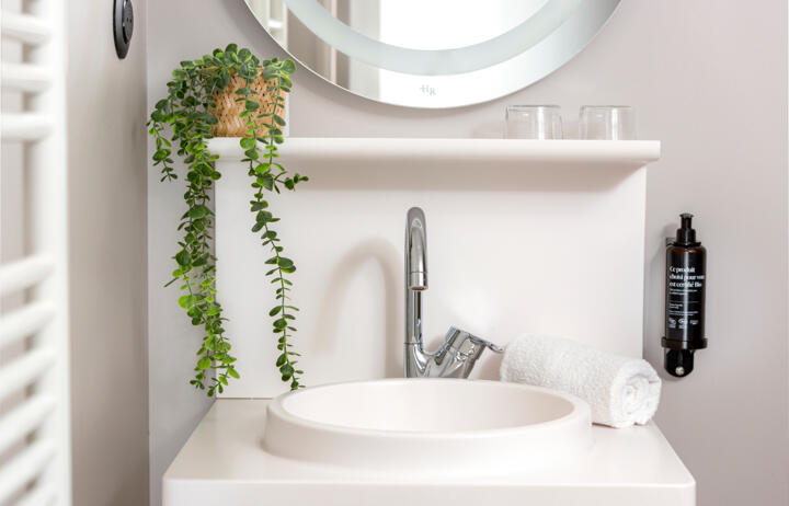  Sauberes und gepflegtes Badezimmer mit Waschbecken, gerolltem Handtuch und dekorativer Pflanze – Aparthotel Appart’City