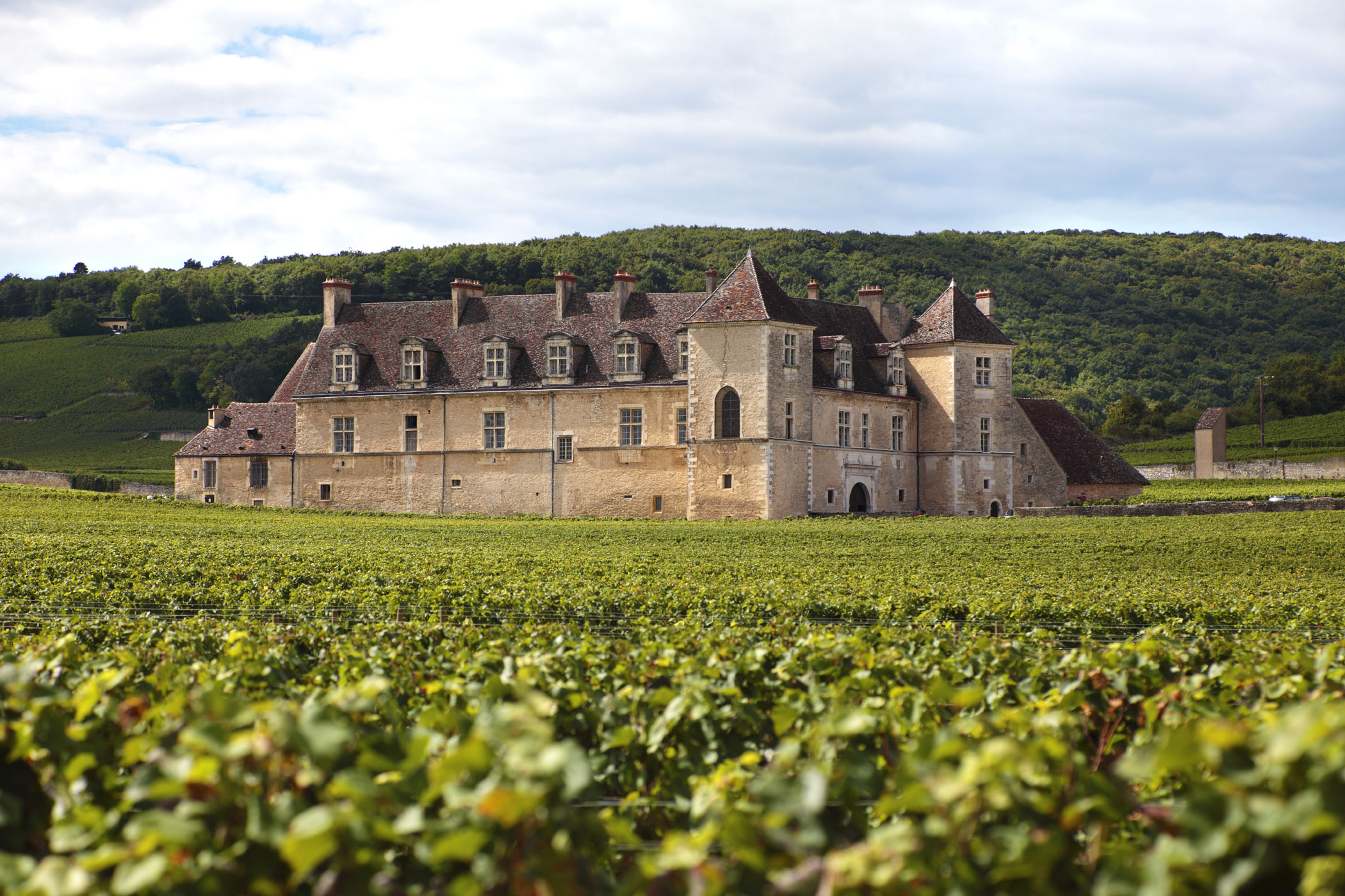 vignoble bordelais